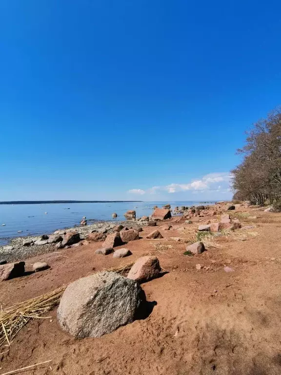 Дом в Ленинградская область, Выборгский район, Приморское городское ... - Фото 0