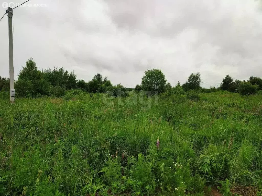 Участок в Чернушка, Рябиновая улица (15 м) - Фото 1