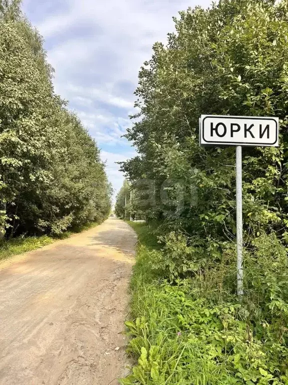 Участок в Ленинградская область, Кингисеппский район, Пустомержское ... - Фото 1