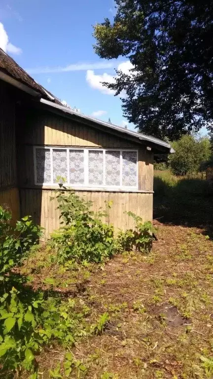 Дом в Псковская область, Дедовичский район, Шелонская волость, д. ... - Фото 1