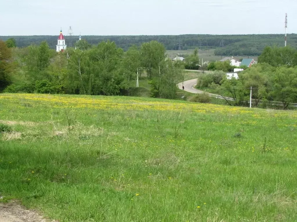 Дом в Московская область, Кашира городской округ, пос. Большое Руново  ... - Фото 2