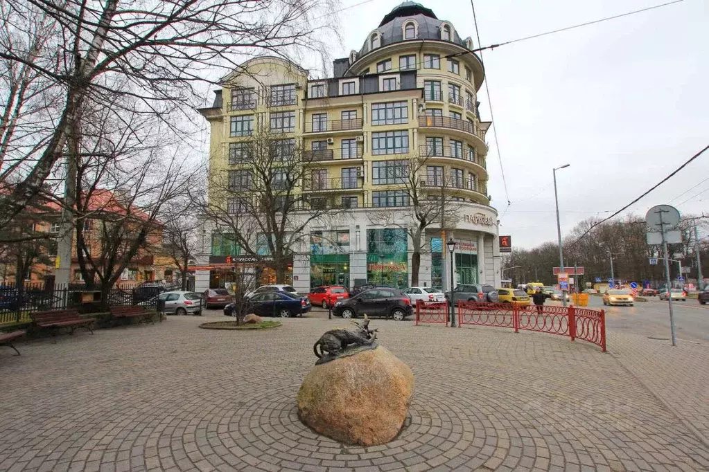 Офис в Калининградская область, Калининград просп. Мира, 84 (98 м) - Фото 1