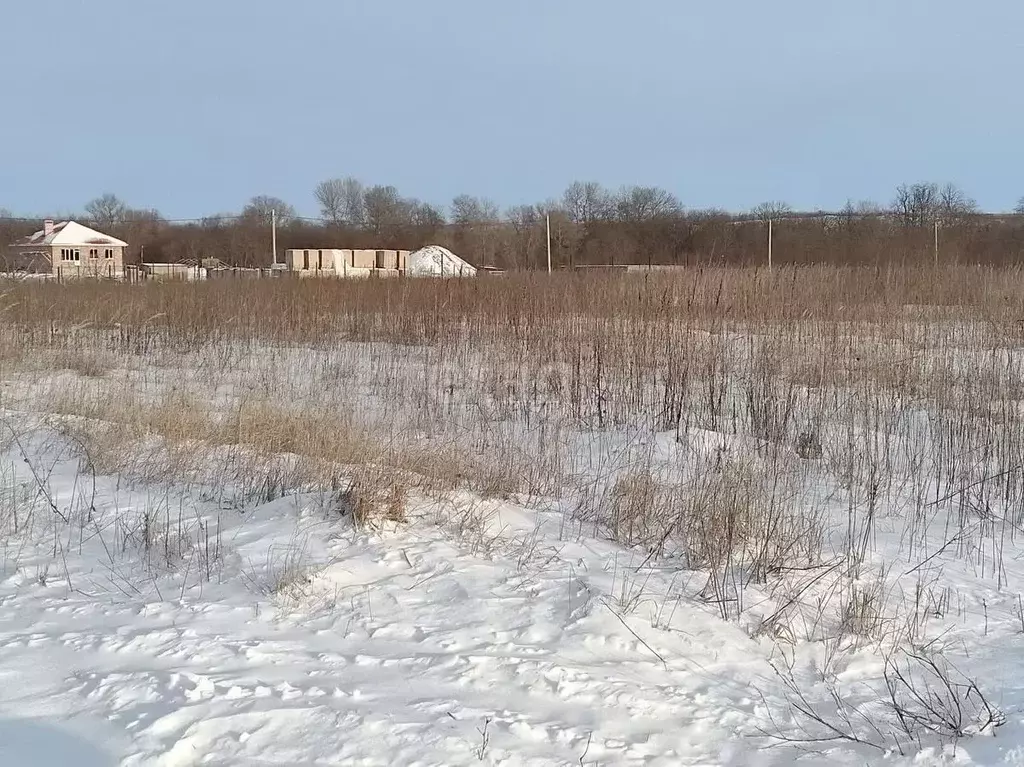 Участок в Ставропольский край, Предгорный муниципальный округ, ... - Фото 0