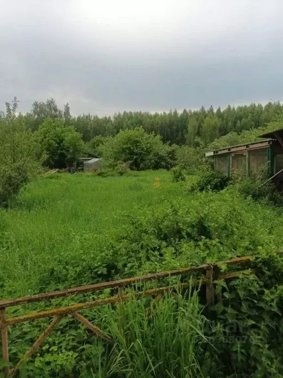 Участок в Нижегородская область, Бор Восход №2 СНТ, 64 (5.3 сот.) - Фото 0