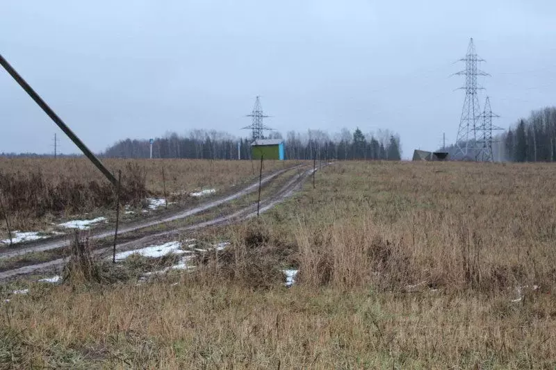 Участок в Ивановская область, Тейковский район, д. Ергуницы  (20.0 ... - Фото 1