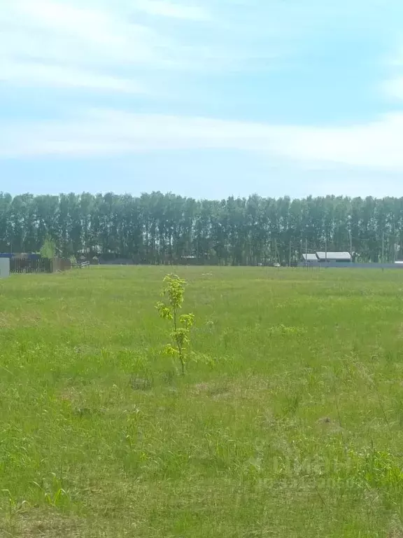 Участок в Омская область, Омский район муниципальный округ, с. ... - Фото 2