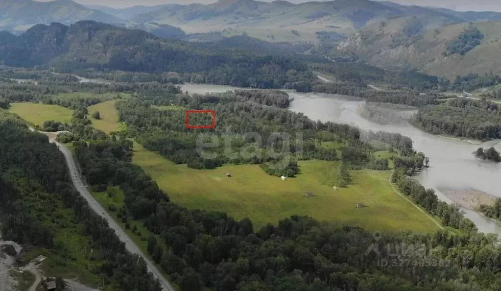 Участок в Алтай, Майминский район, Соузгинское с/пос, пос. Черемшанка ... - Фото 0