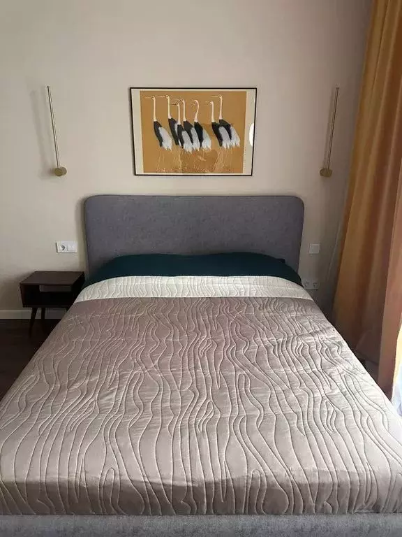 Студия Санкт-Петербург Уральская ул., 21 (25.0 м) - Фото 0