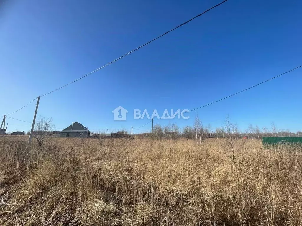 Участок в Владимирская область, Собинский муниципальный округ, с. ... - Фото 1