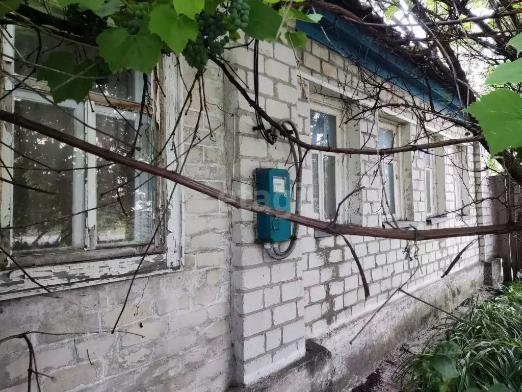 Дом в Белгородская область, Поселок Чернянка городское поселение, ... - Фото 1