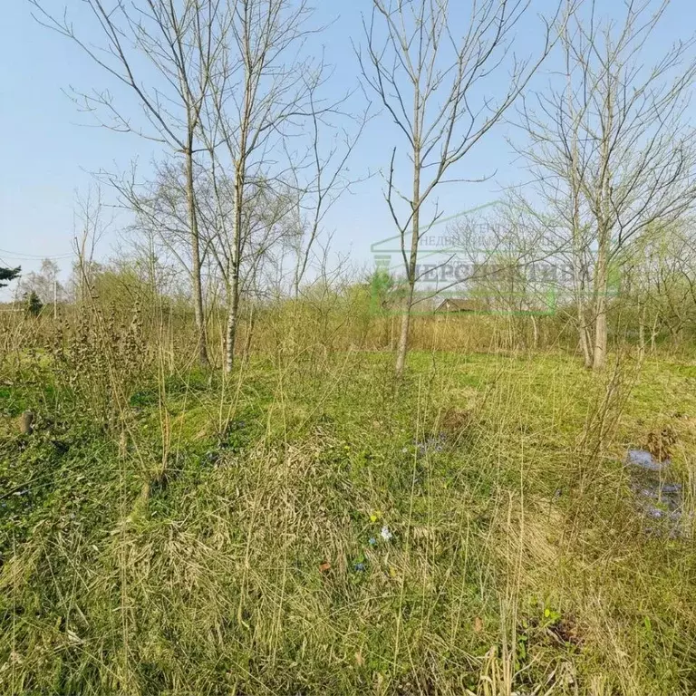 Участок в Приморский край, Артемовский городской округ, с. Кролевцы ... - Фото 2