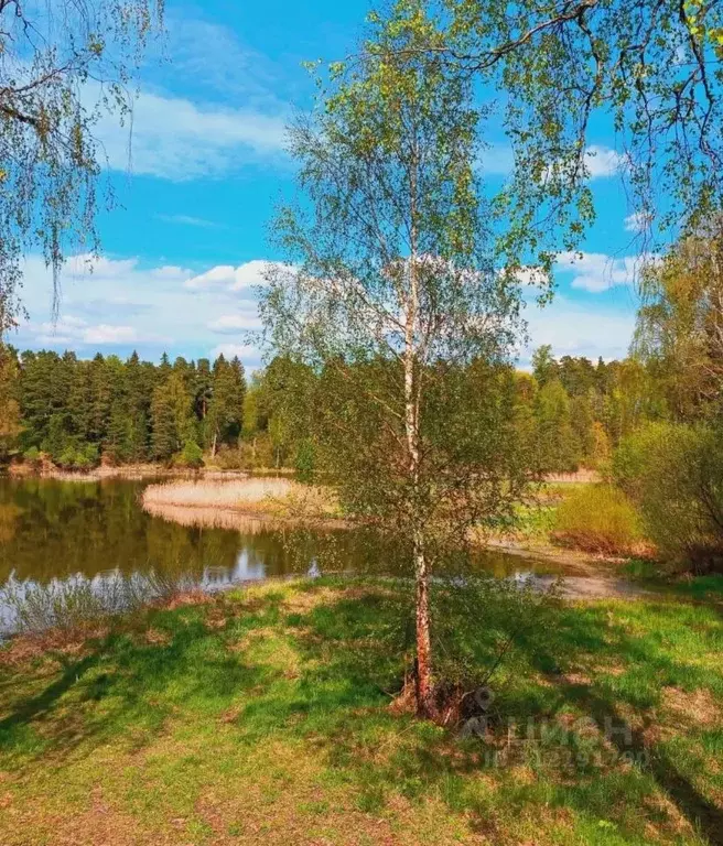 Участок в Московская область, Клин городской округ, Аквамарин дп ул. ... - Фото 1