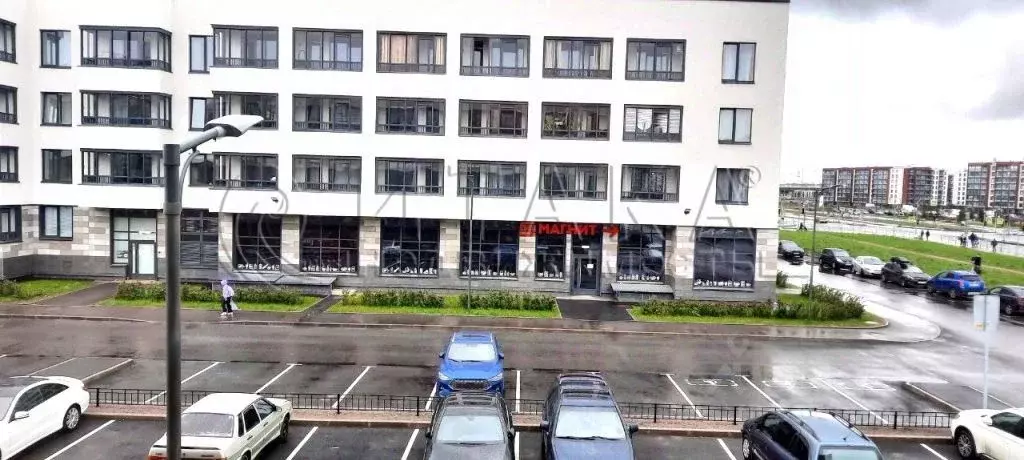 Студия Санкт-Петербург просп. Ветеранов, 212 (24.3 м) - Фото 0