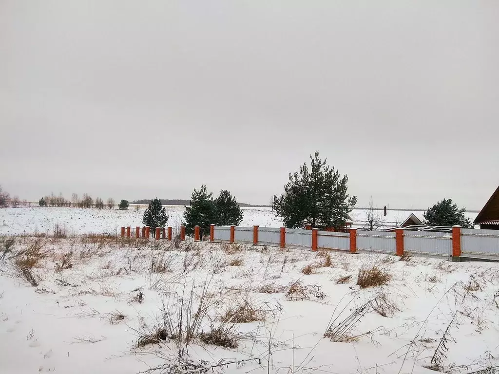 Участок в Московская область, Коломна городской округ, пос. ... - Фото 2