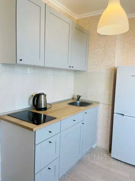 Студия Санкт-Петербург пос. Парголово, проезд Толубеевский, 24 (25.0 ... - Фото 1