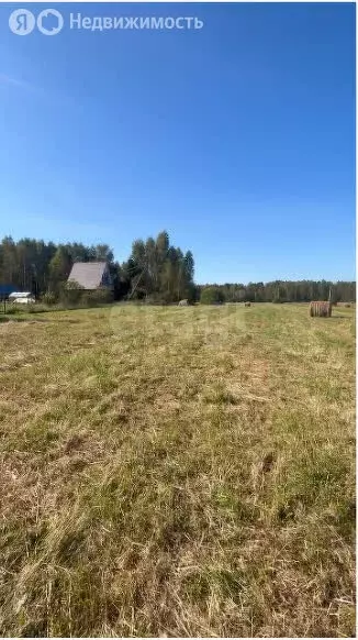 Участок в Ярославская область, Рыбинский муниципальный округ, деревня ... - Фото 1