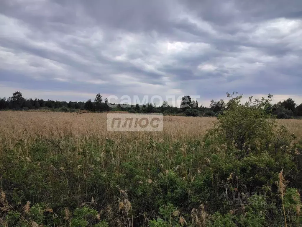 Участок в Тюменская область, Тюмень Славянский мкр,  (7.2 сот.) - Фото 1