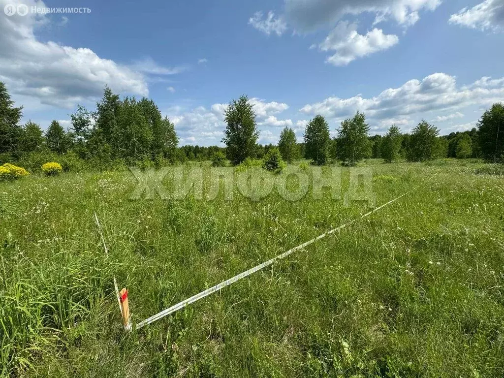 Участок в Каменский сельсовет, ДНТ Каменский Оазис, Весенняя улица (8 ... - Фото 2