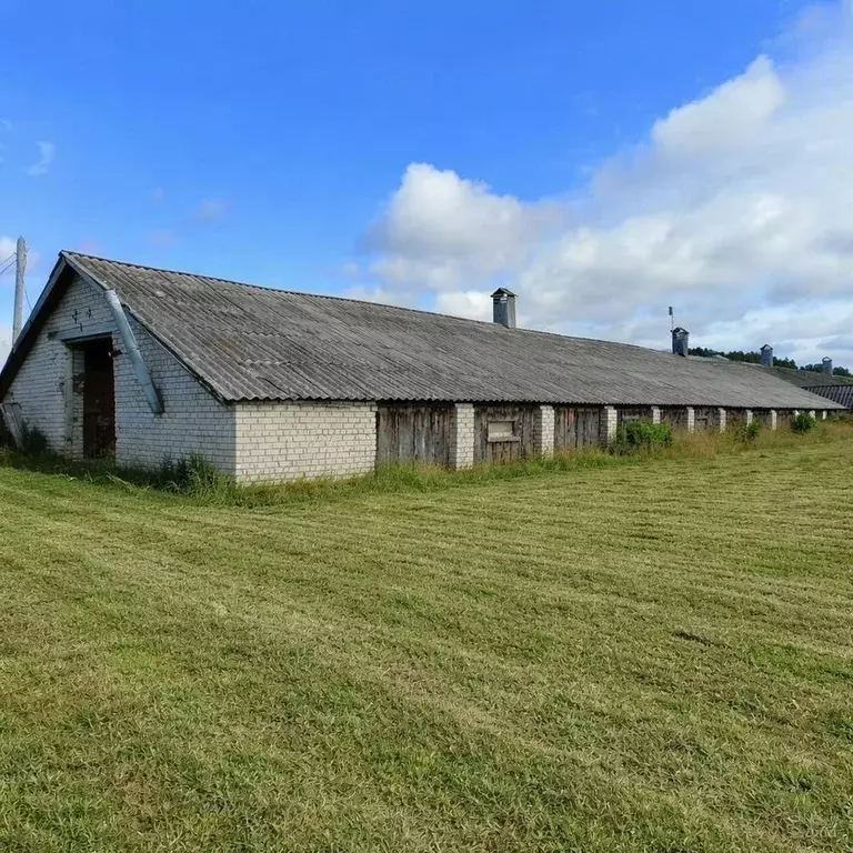 Помещение свободного назначения в Карелия, Пудожский район, Кривецкое ... - Фото 1