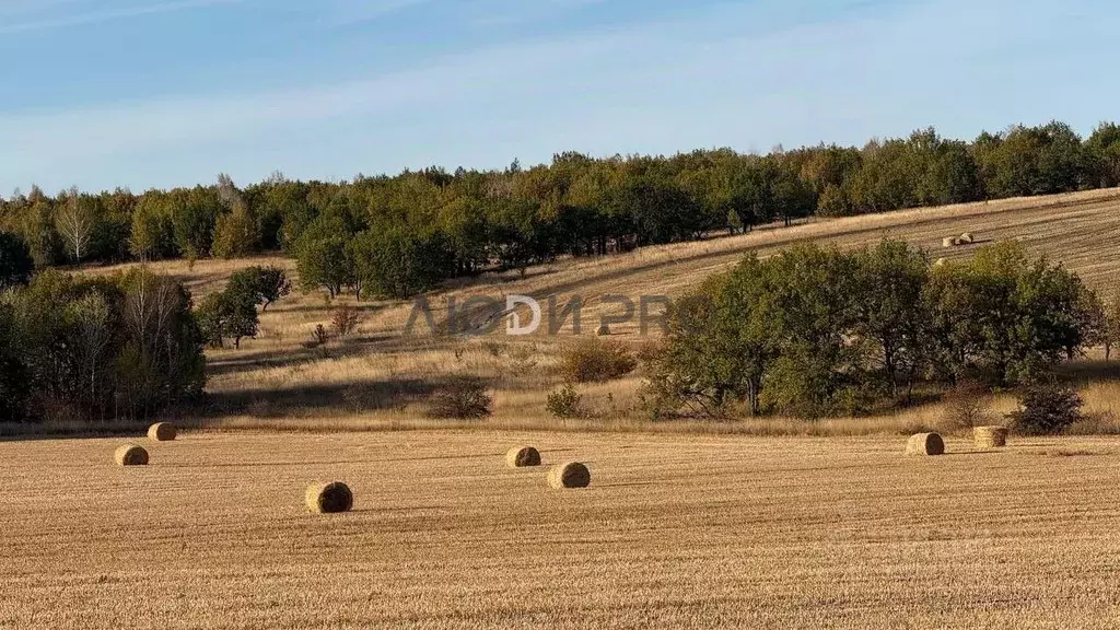Дом в Саратовская область, Татищево рп ул. Новая, 18 (200 м) - Фото 0