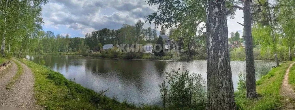 Дом в Новосибирская область, Новосибирский район, Раздольненский ... - Фото 0