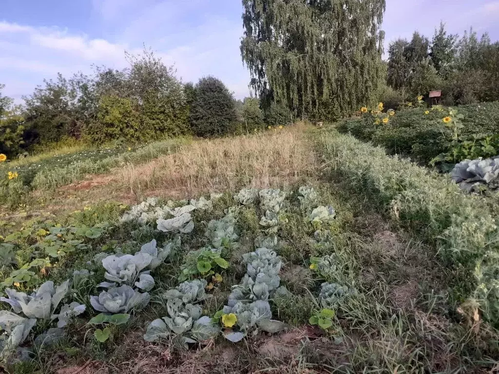 Дом в Свердловская область, Тугулымский муниципальный округ, пос. ... - Фото 1