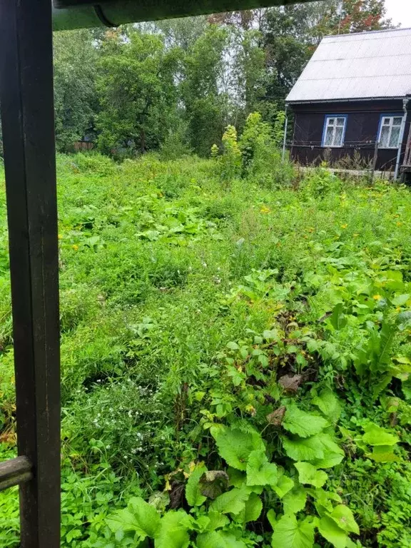 Дом в Московская область, Пушкинский городской округ, Ашукино пгт, ... - Фото 1