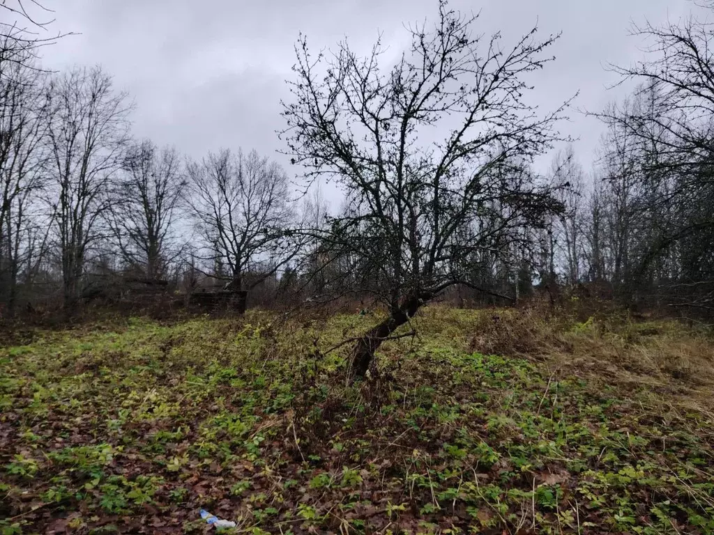 Участок в Ленинградская область, Гатчинский муниципальный округ, д. ... - Фото 1