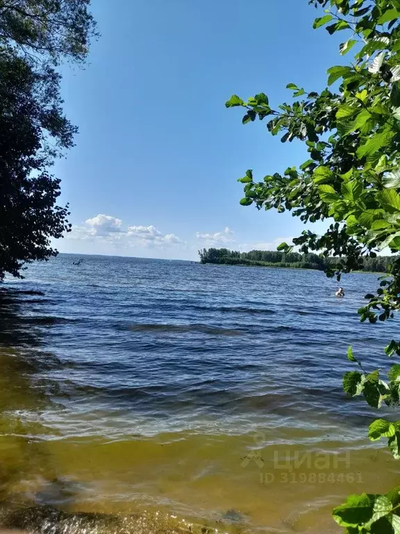 Дом в Нижегородская область, Городецкий муниципальный округ, д. ... - Фото 1