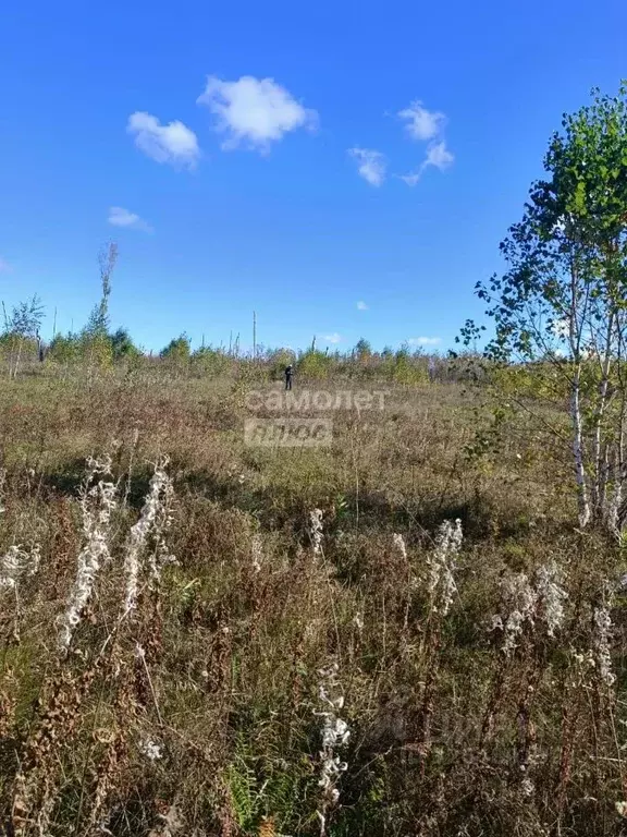 Участок в Челябинская область, Сосновский муниципальный округ, д. ... - Фото 2