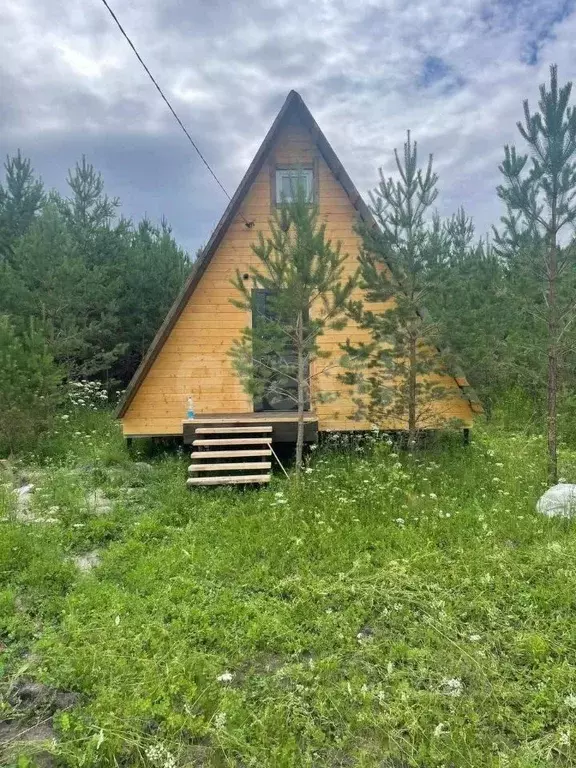 Дом в Тюменская область, Нижнетавдинский район, с. Черепаново  (52 м) - Фото 1