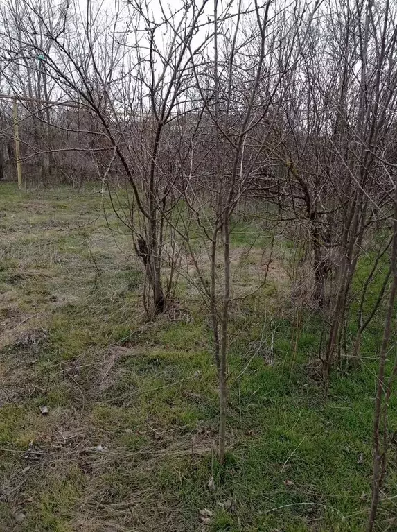 Участок 8 сот. (ИЖС) - Фото 0