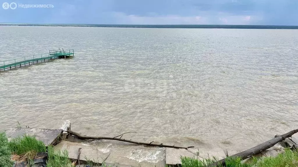 Участок в Ордынский район, село Красный Яр (20 м) - Фото 1