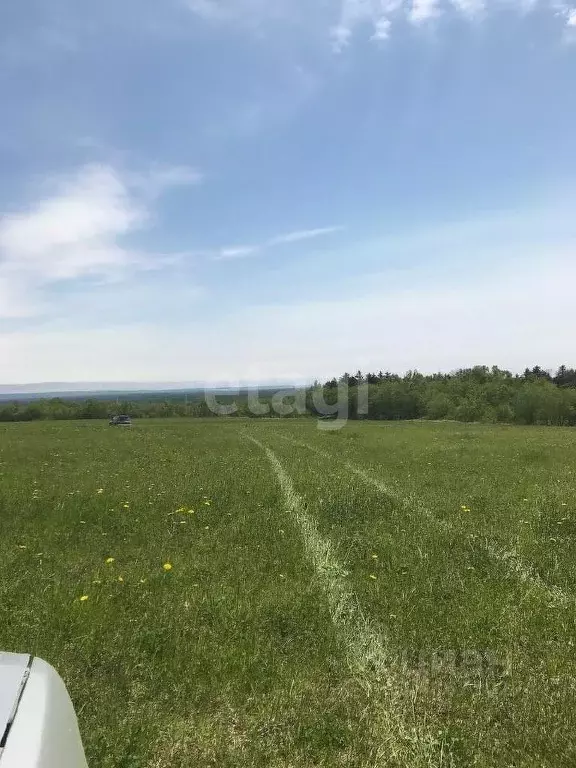 Участок в Сахалинская область, Анивский городской округ, с. ... - Фото 0