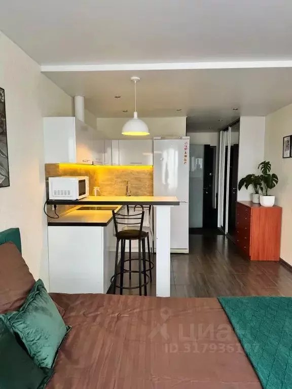 Студия Кировская область, Киров Заводская ул., 4 (24.0 м) - Фото 0
