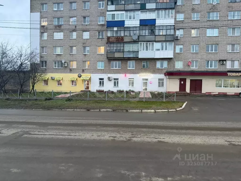 Помещение свободного назначения в Пермский край, Чернушка ул. ... - Фото 1