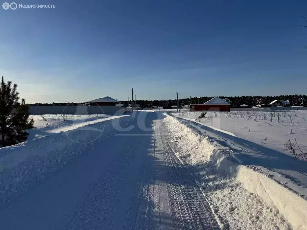 Участок в Тюменский муниципальный округ, деревня Криводанова (5.7 м) - Фото 1