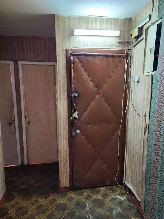 2-к кв. Санкт-Петербург, Санкт-Петербург, Петергоф Озерковая ул., 49к2 ... - Фото 1