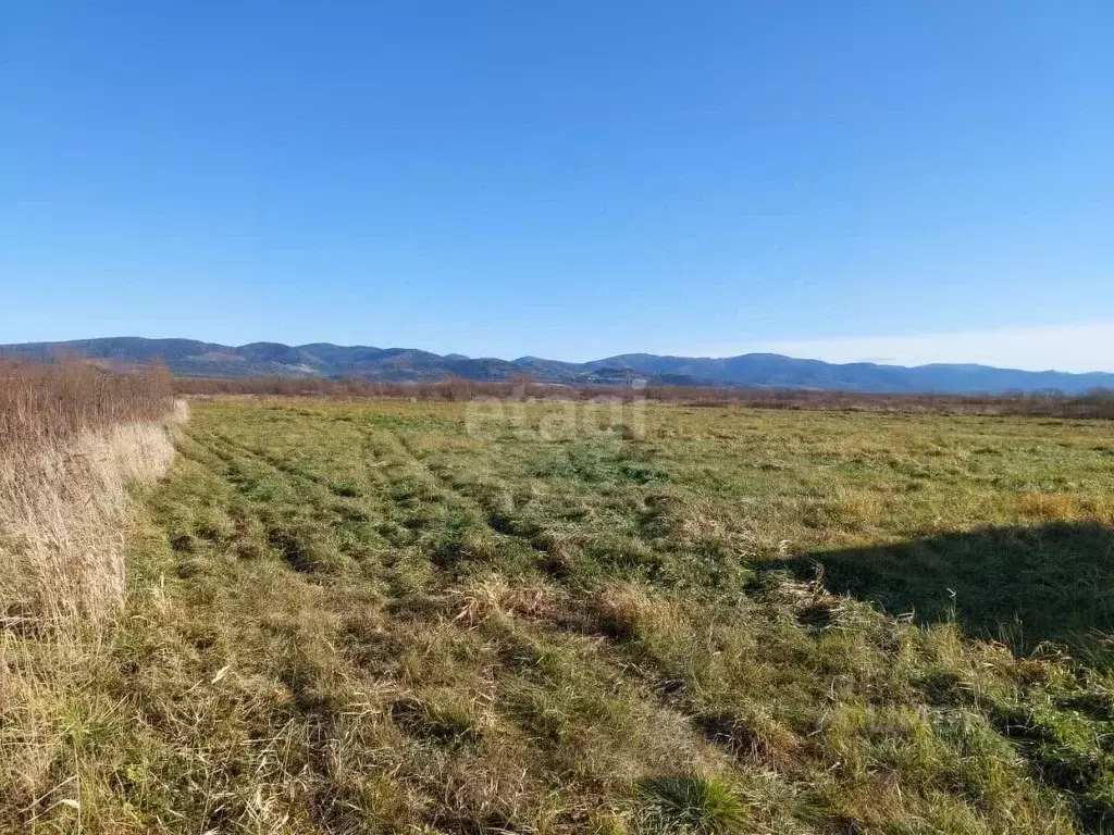 Участок в Сахалинская область, Долинский городской округ, с. Сокол  ... - Фото 0