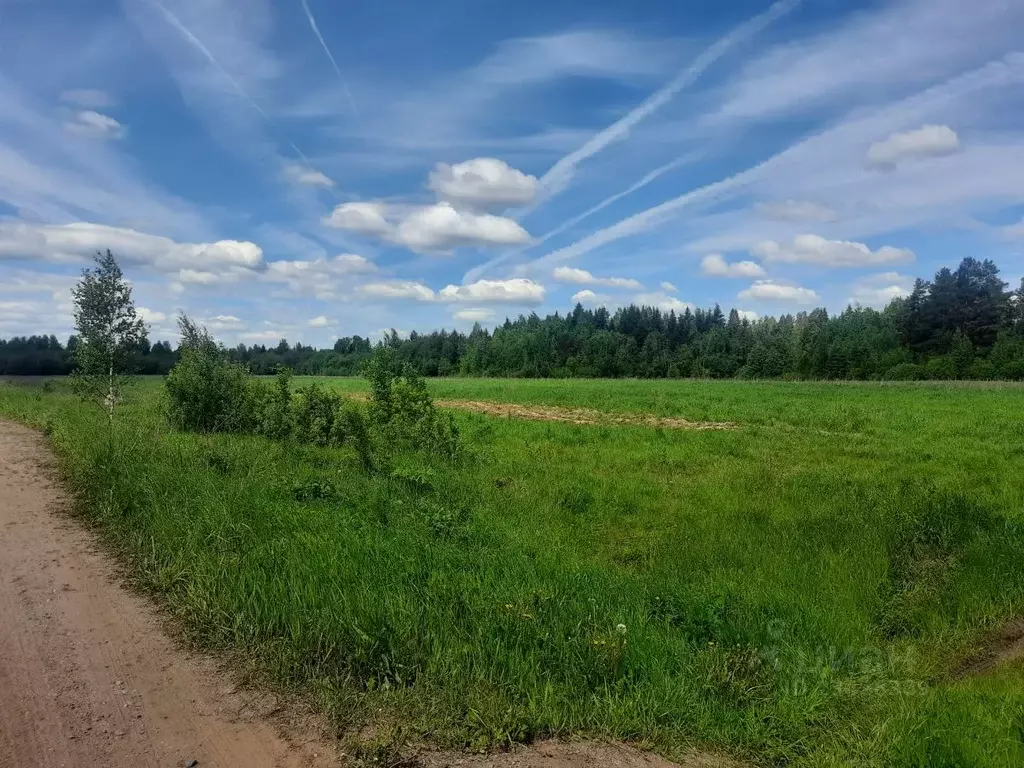 участок в новгородская область, маловишерский район, бургинское с/пос, . - Фото 0