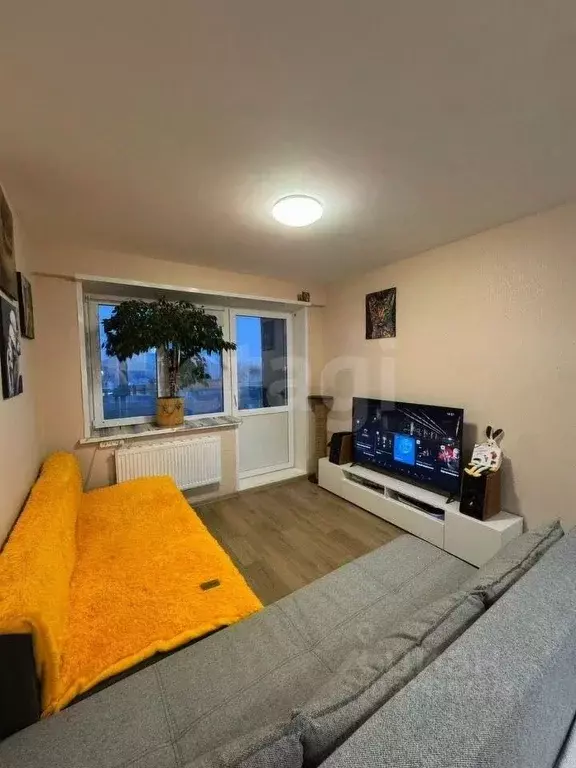 Студия Удмуртия, Ижевск Нижняя ул., 2 (22.5 м) - Фото 1