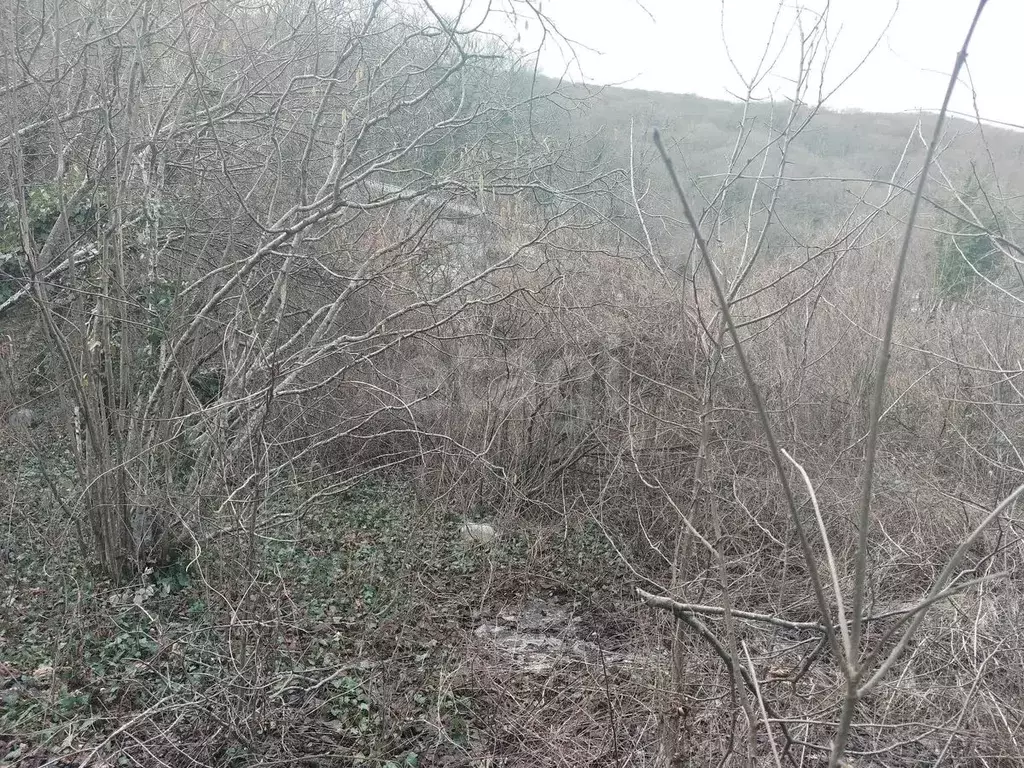 Участок в Краснодарский край, Геленджик городской округ, с. ... - Фото 2