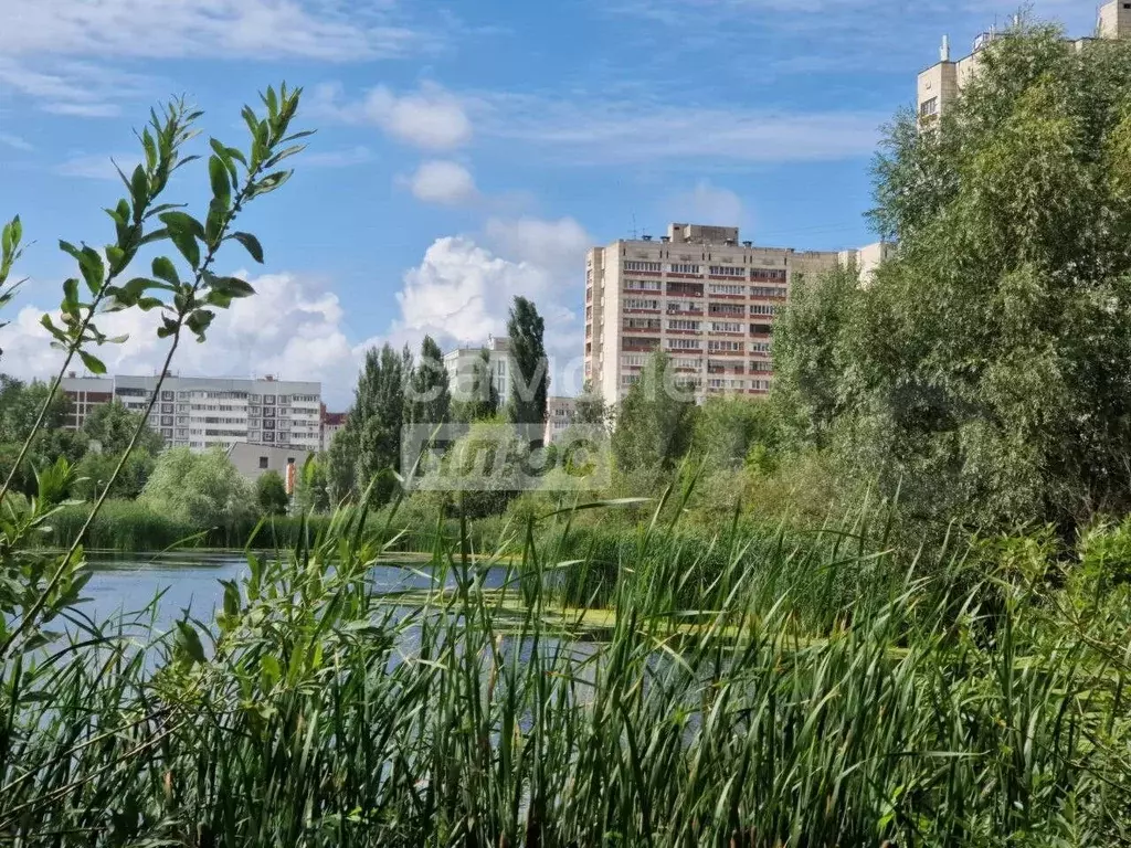 Сдам помещение свободного назначения, 17.5 м - Фото 1