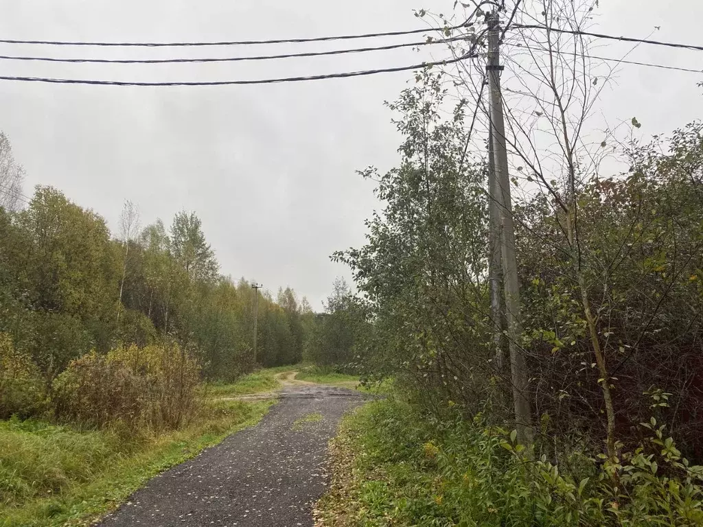 Участок в Московская область, Клин городской округ, Милухино СНТ 321 ... - Фото 2