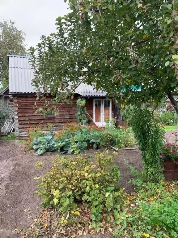 Дом в Тюменская область, Тюмень Корабельщик садовое товарищество, ул. ... - Фото 1