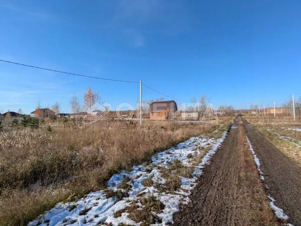 Участок в Тюменская область, Ялуторовский район, с. Киева ул. Садовая ... - Фото 1