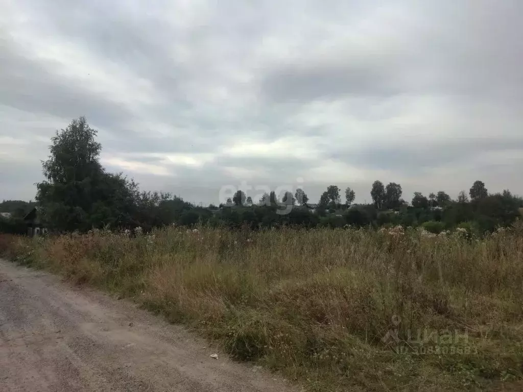 Участок в Вологодская область, Белозерский муниципальный округ, с. ... - Фото 1