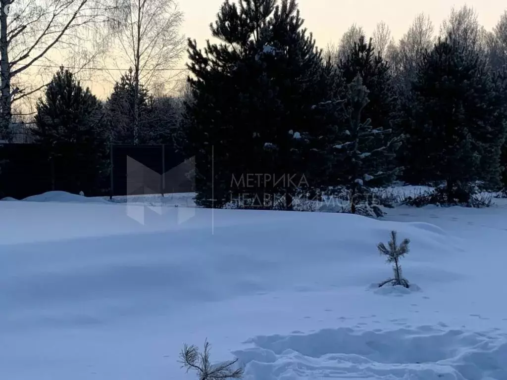 Участок в Нижнетавдинский район, село Тюнево (20 м) - Фото 0