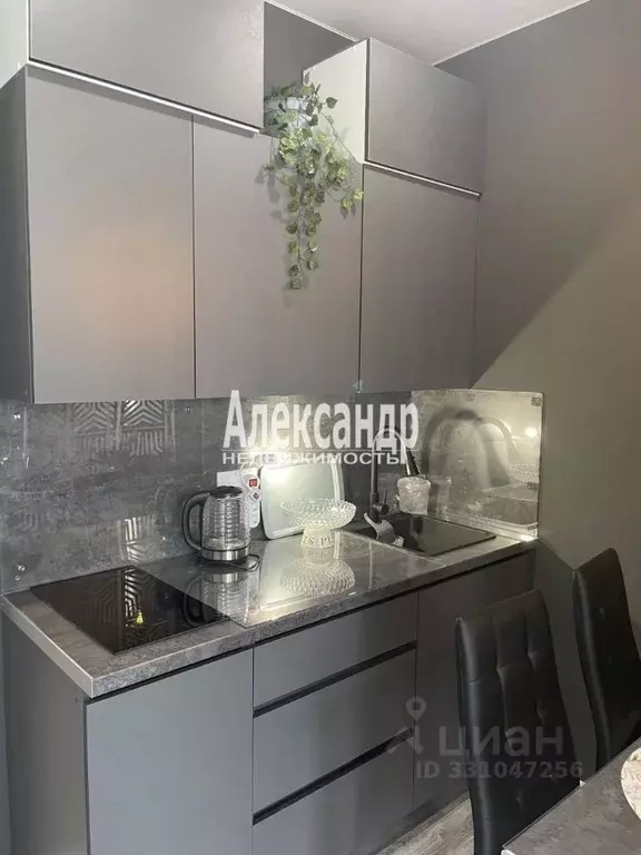 Студия Ленинградская область, Мурино Всеволожский район, бул. ... - Фото 2
