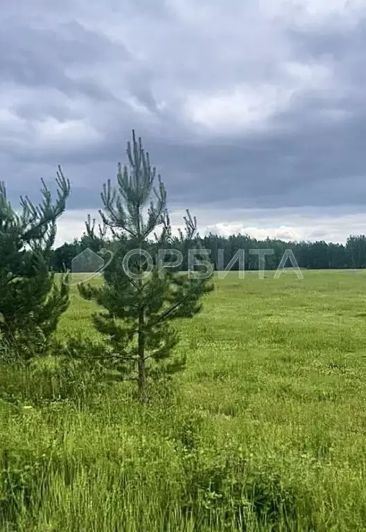 Участок в Тюменская область, Нижнетавдинский район, д. Аракчина  (5.0 ... - Фото 0